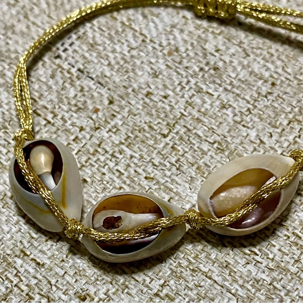 Gold Shell Bracelet - Picture 6 of 6